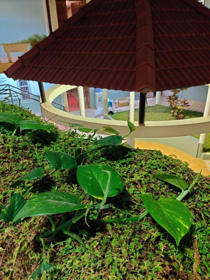 Nisarga Resort Kaglipur Buitenkant foto